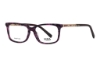 Imagen de AXESS 5098 PURPLE TORTOISE 54-15-140